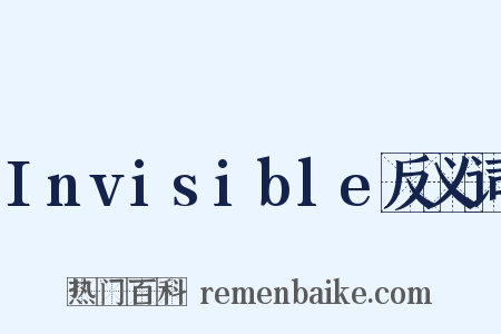 Invisible反义词是什么意思的图片